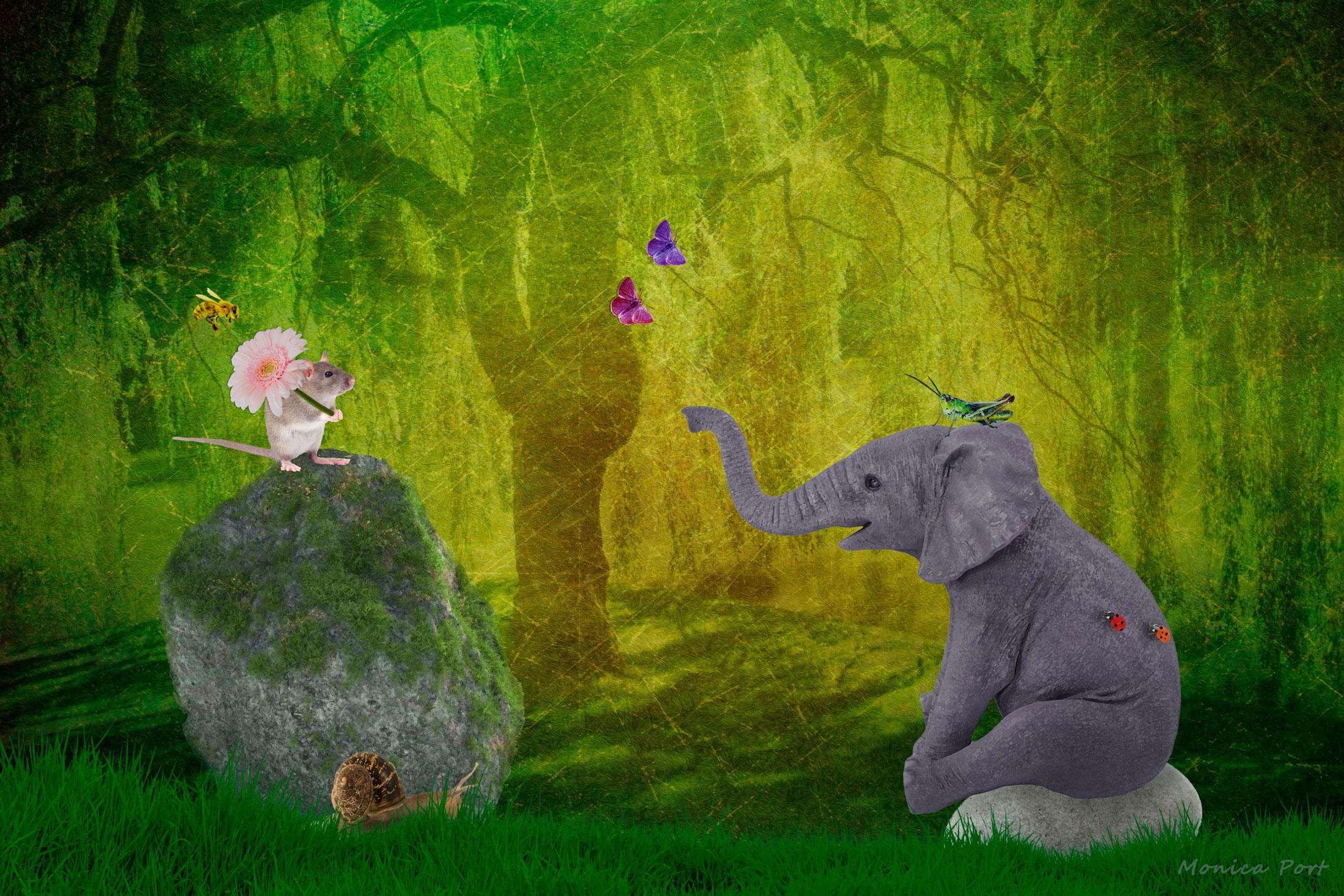 Elephant, Mouse, and Snail in Forest (by Monica Port)