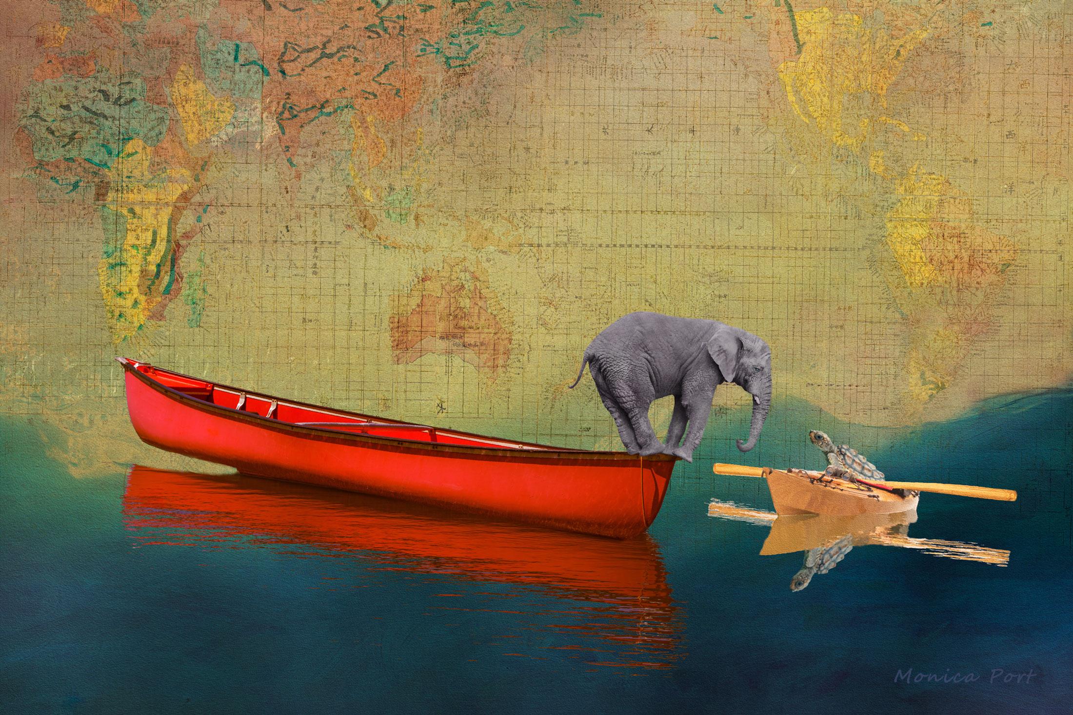 Elephant and Turtle in Canoes (by Monica Port)